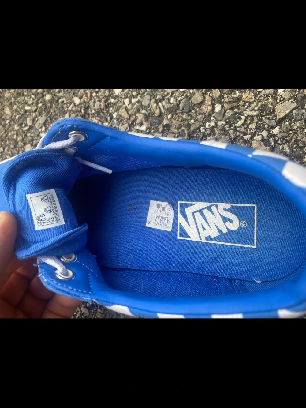 Vans Blue and White Checkerboard Low-Top Sneakers